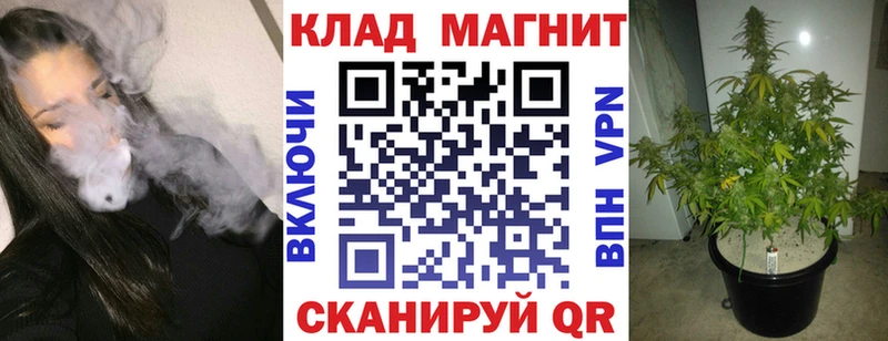 Где найти наркотики Ленск АМФЕТАМИН  Псилоцибиновые грибы  Меф  COCAIN  ГАШ  Alpha-PVP 