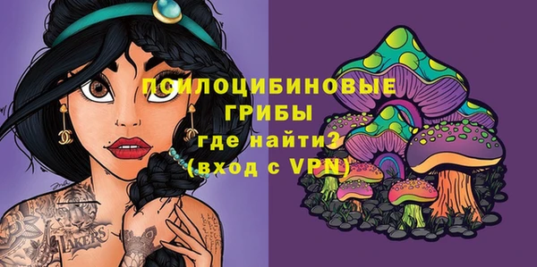 первитин Инта