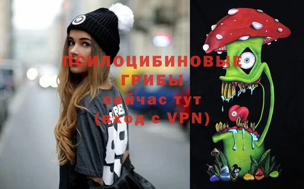Альфа ПВП Зеленокумск